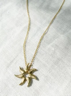 HAWKLY Collier Star - Bronze